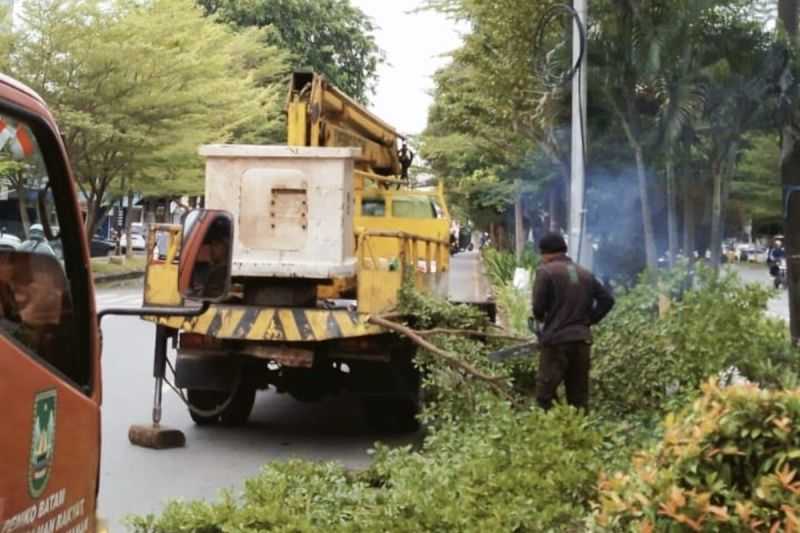 Disperakimtan Mengecek Pohon Rawan Tumbang di Kota Batam