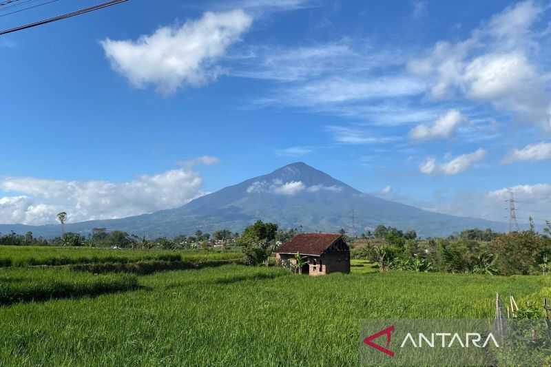 Dispertan Garut selamatkan lahan pertanian dengan pompanisasi