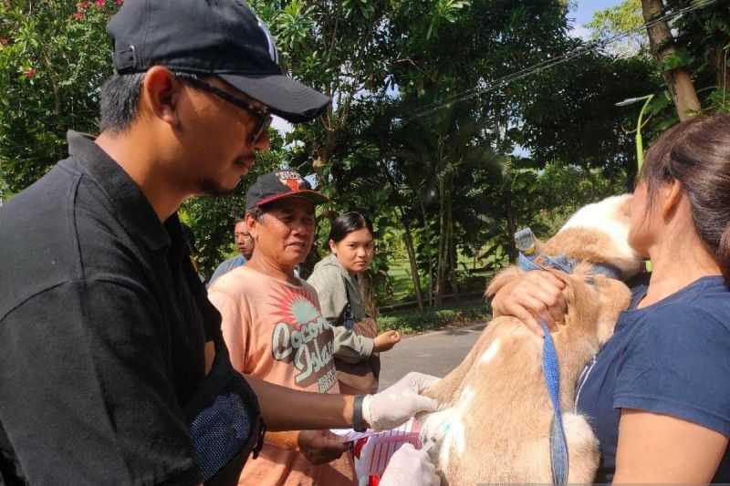 Distan Targetkan Vaksinasi Rabies Sasar 73.975 Hewan di Denpasar