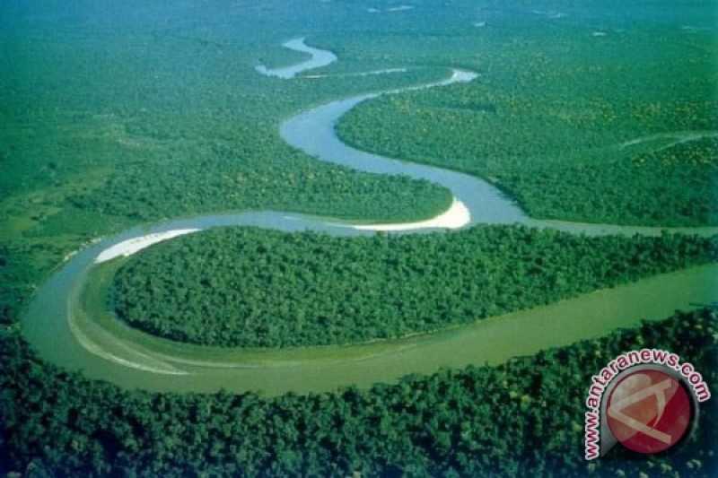 Ditentang Aktivis Lingkungan, Presiden Brazil Gagal Percepat RUU Penambangan di Hutan Amazon