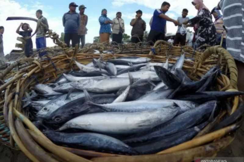 DKP DIY tingkatkan produksi ikan 3.500 ton per tahun