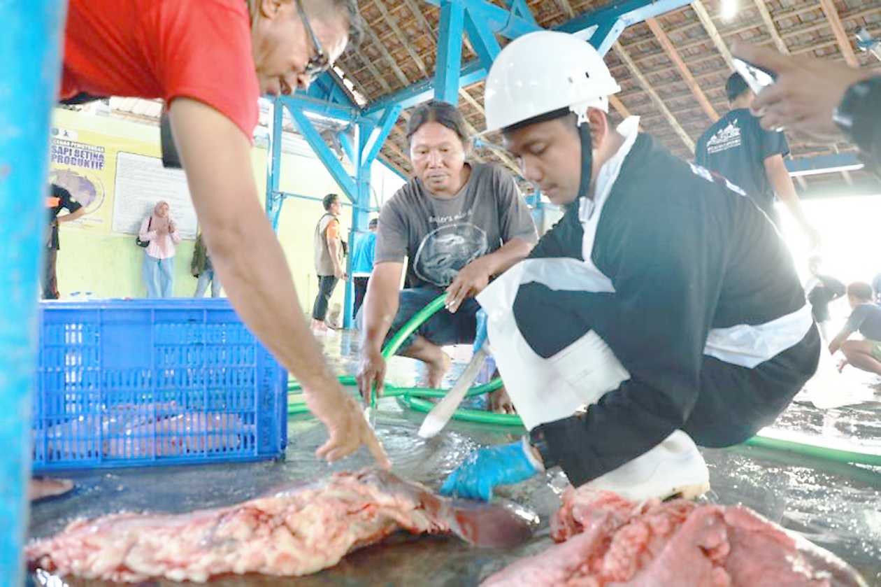 DKPP Kota Madiun Periksa Daging Kurban Usai Disembelih