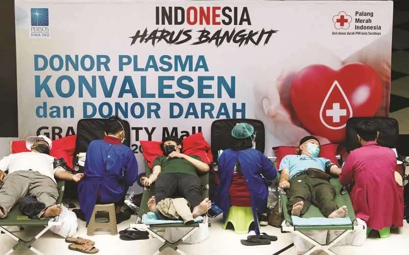 DONOR PLASMA KONVALESEN