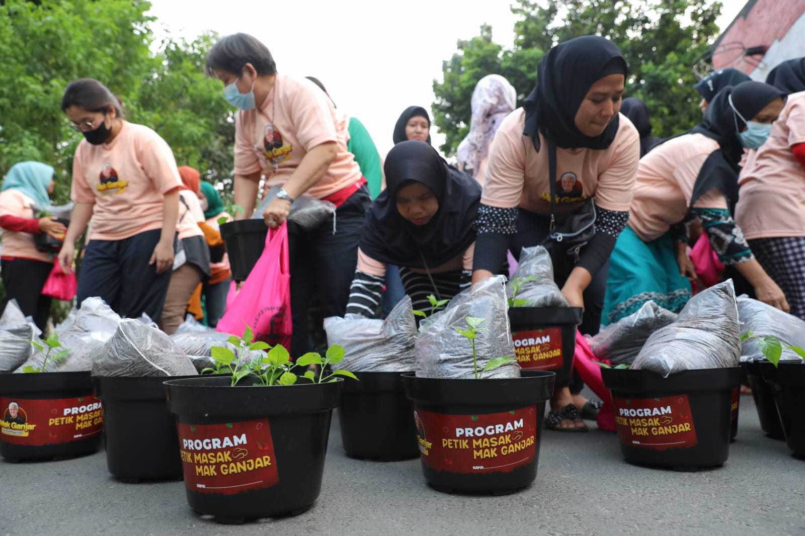 Dorong Ketahanan Pangan di Jakarta, Relawan Mak Ganjar Tanam Ratusan Pohon Cabai 1