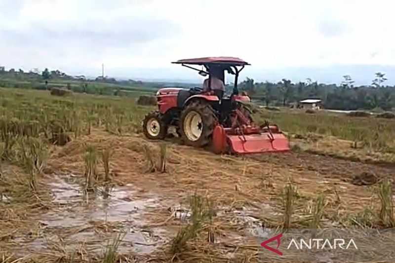 DPPKP Banjarnegara pastikan stok pupuk subsidi cukup kebutuhan MT-I