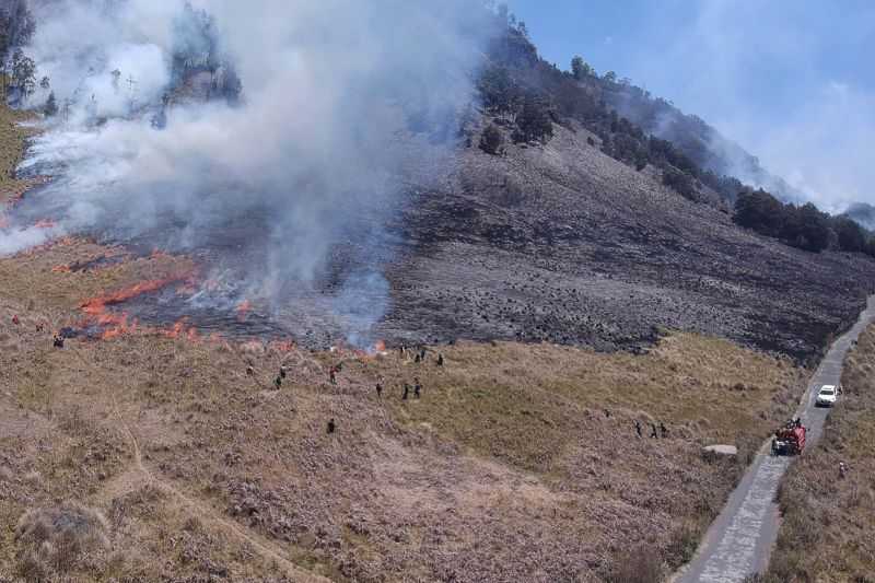 Duh! Gara-gara Ulah Pengunjung, Bukit Teletubbies Gunung Bromo Terbakar