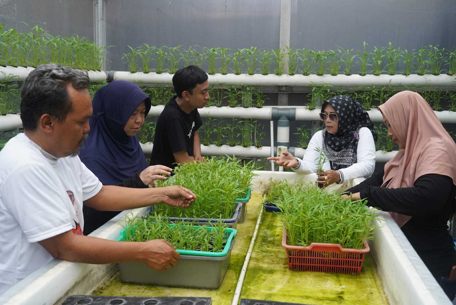 Dukung Inovasi Masyarakat, OMG Bantu Renovasi Greenhouse di Pisangan Timur