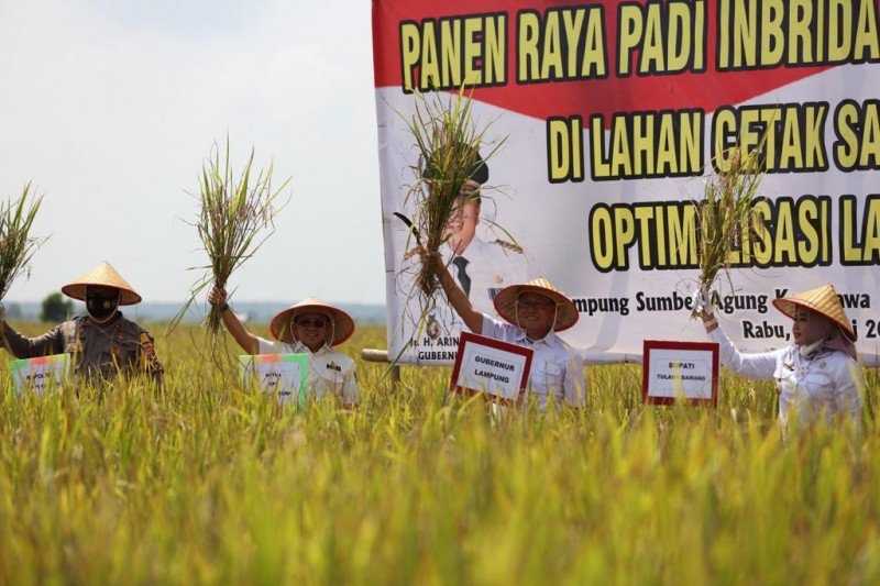 Dukung Ketahanan Pangan, Pemprov Lampung Luncurkan Kartu Petani Berjaya di Tulang Bawang