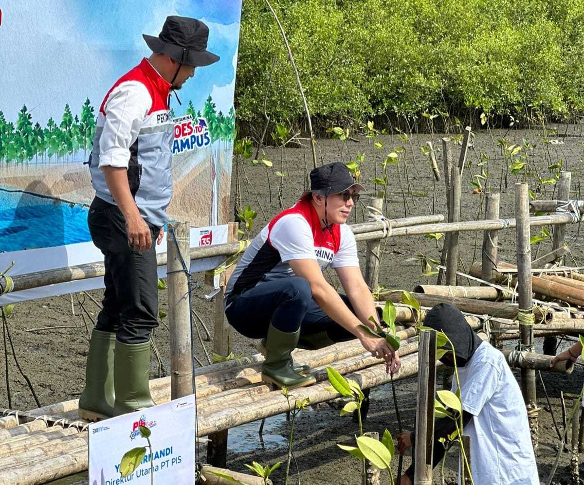 Dukung Penerapan ESG, PIS Tanam 1.000 Bibit Mangrove di Makassar