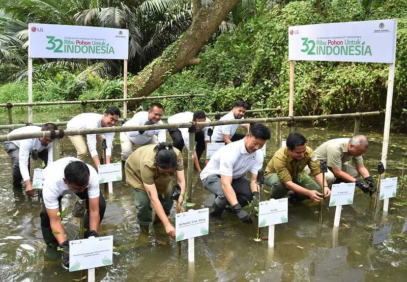 Dukung Rehabilitasi Mangrove, LG Sumbangkan 32 Ribu Bibit