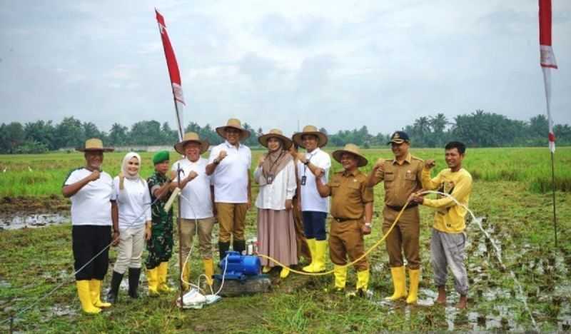 Dukung Sektor Pertanian, PLN Hadirkan Listrik Masuk Sawah di Langkat