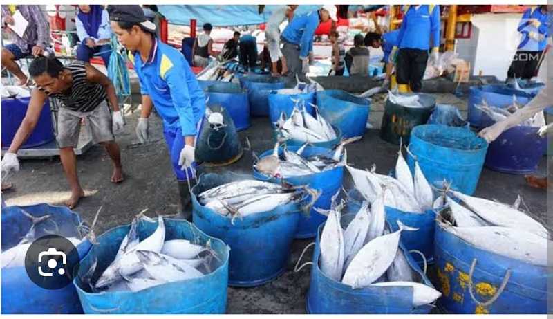 Ekonomi Biru Atasi Masalah Kelaparan dan Transformasi Sistem Pangan Indonesia