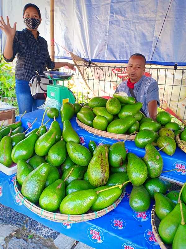 Ekonomi Hijau Ciptakan Lapangan Kerja 10 Kali Lipat