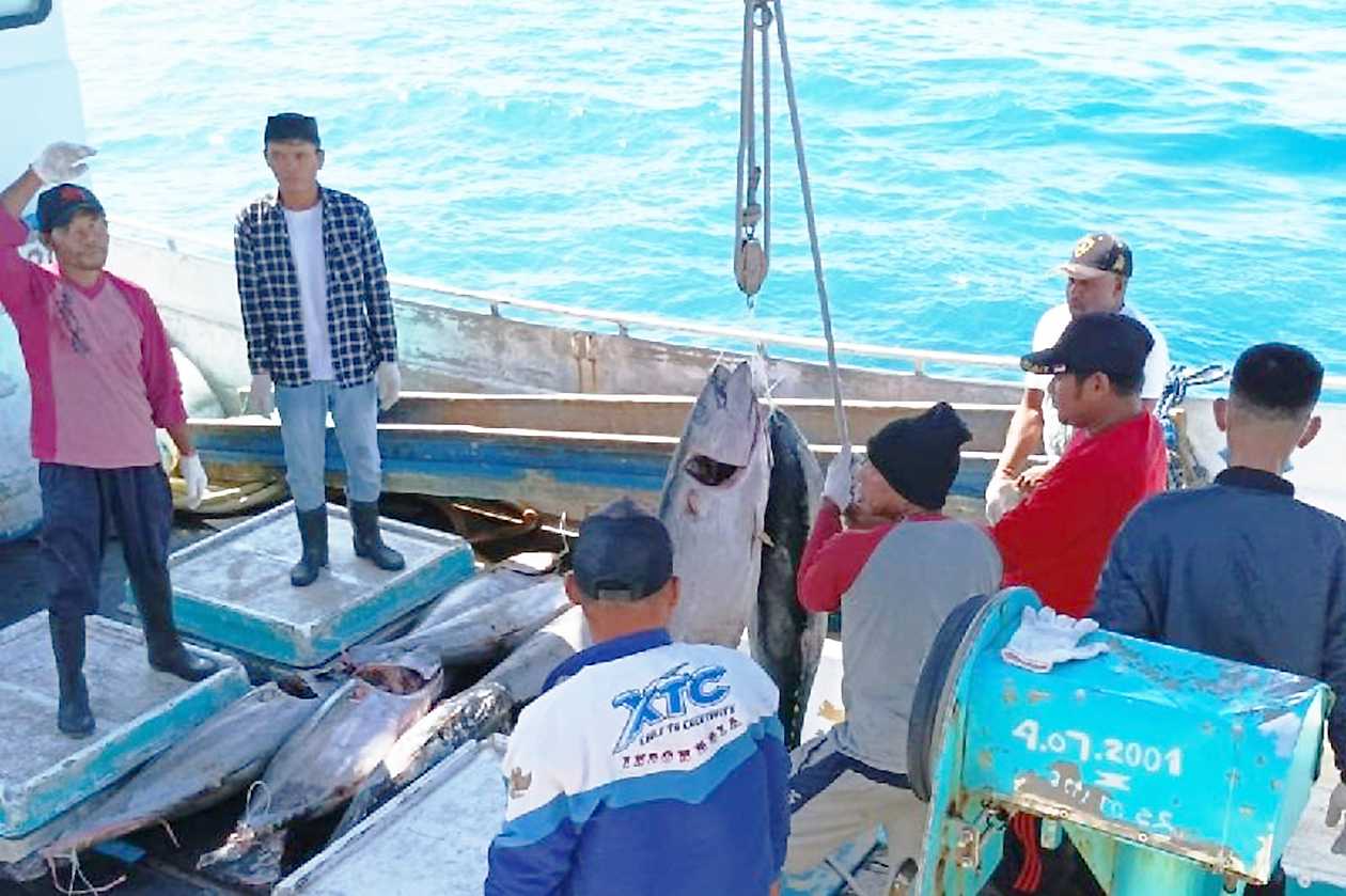 Ekspor Tuna Segar Biak ke Jepang Capai Tujuh ton