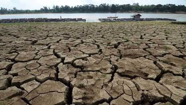 El Nino Dapat Mempercepat Hilangnya Gletser Tropis di Puncak Jaya