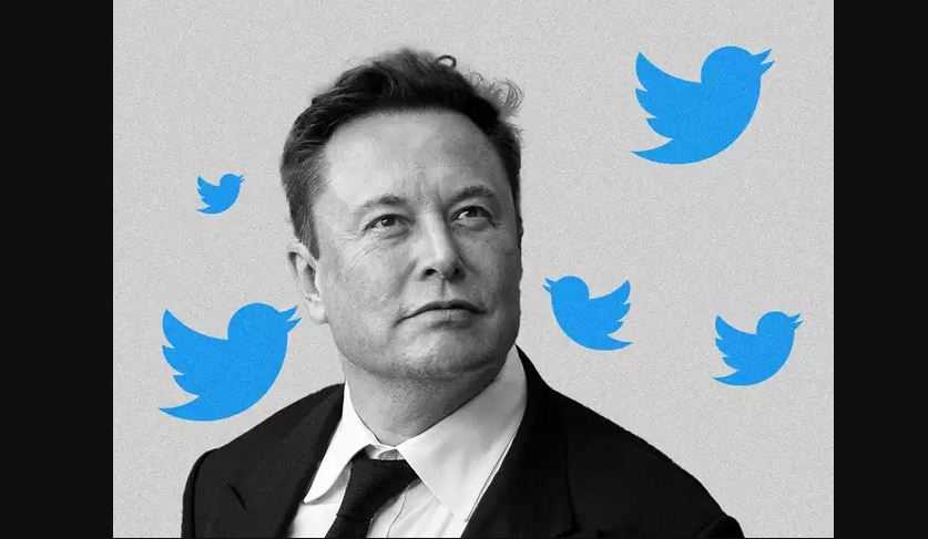 Elon Musk Berencana Ganti Brand dan Logo Twitter?