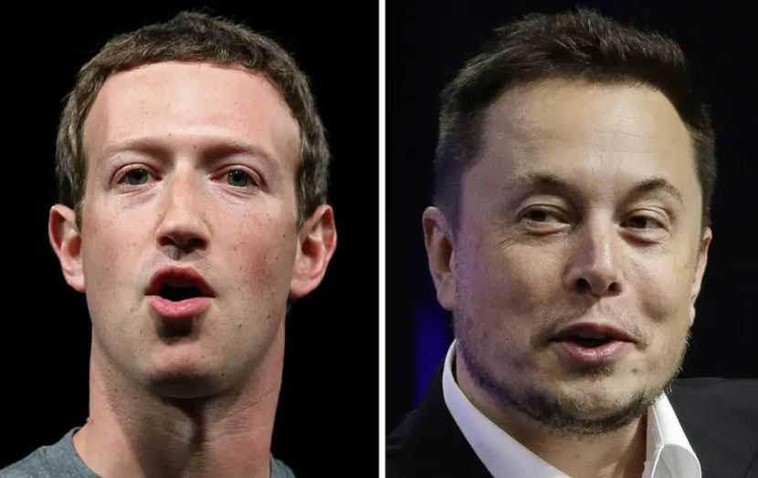 Elon Musk vs Mark Zuckerburg Siap Bertarung Offline, Siapa Menang?
