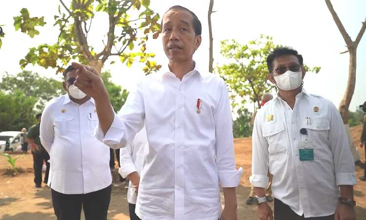 Emak-emak Harus Dengar! Jokowi Beri Pesan Ini Agar Harga Cabai Tidak Naik dan Langka