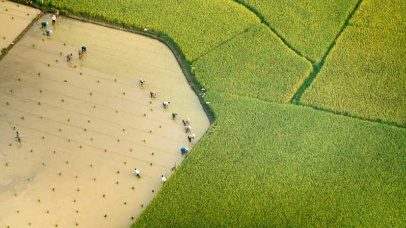 Embung Sukodono Dukung 'Food Estate' Gresik