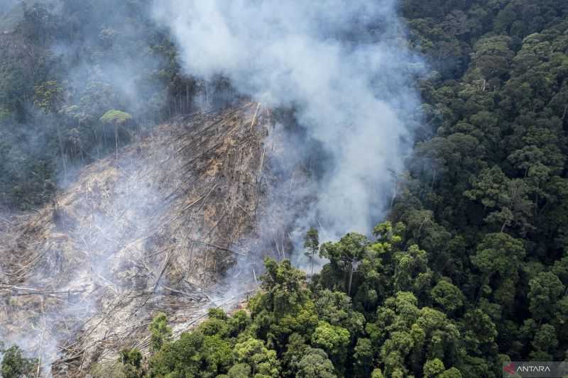 Empat Petugas Tanggap Darurat Cedera Saat Padamkan Kebakaran Hutan di Dekat Roma