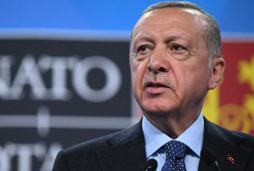 Erdogan dan Sekjen NATO Bahas Perkembangan Terakhir Rusia