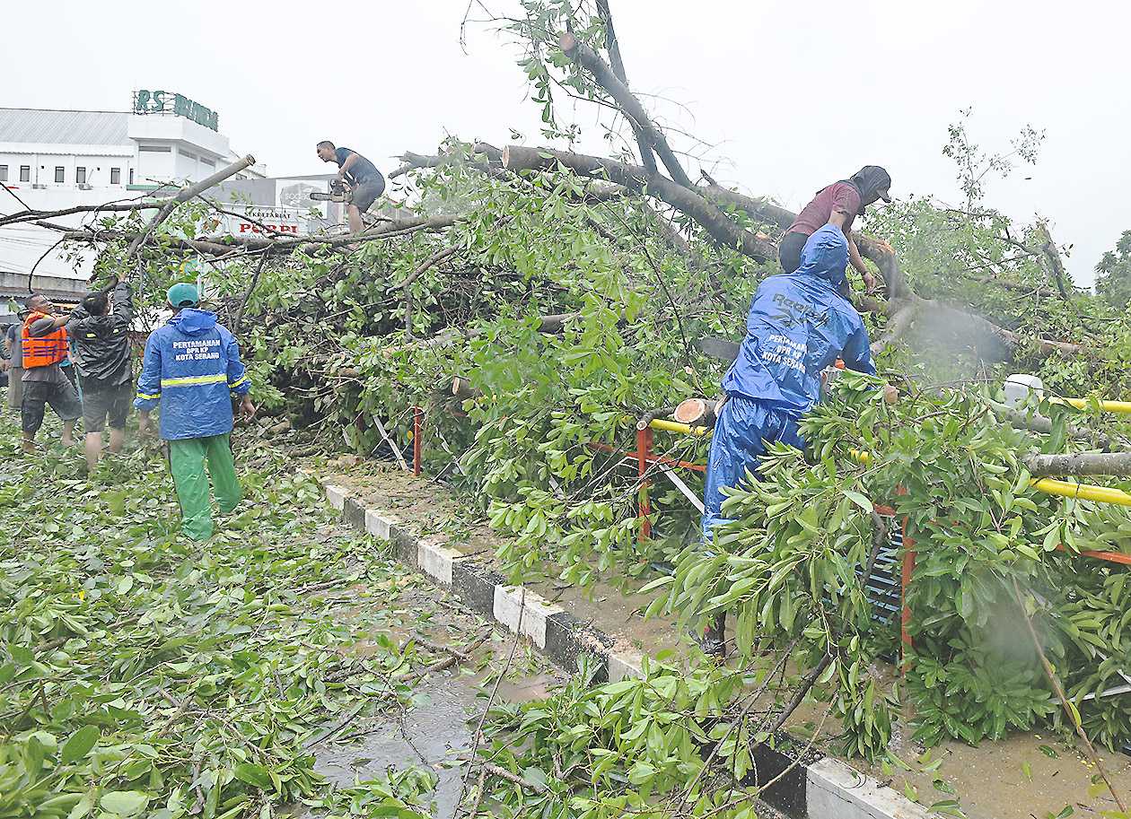 Evakuasi Pohon Tumbang di Kota Serang