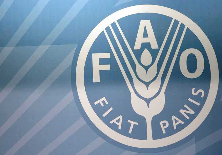 FAO: Korut Masih Jadi Negara yang Butuh Bantuan Pangan