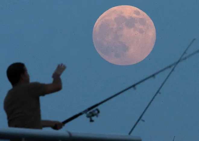 Fenomena Hunter Moon Bisa Disaksikan di Indonesia, Tidak Berbahaya