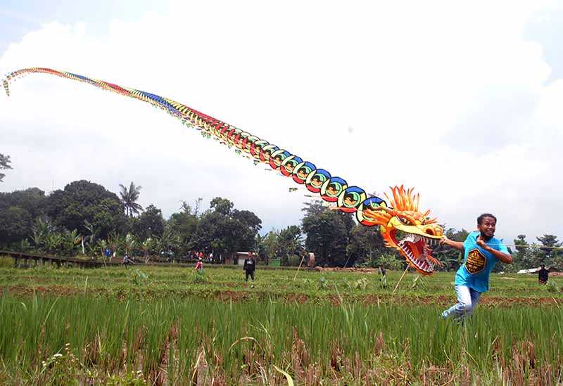 Festival Layangan