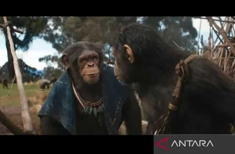Film 'Kingdom of the Planet of the Apes' Raup Pendapatan 56 Juta Dollar AS