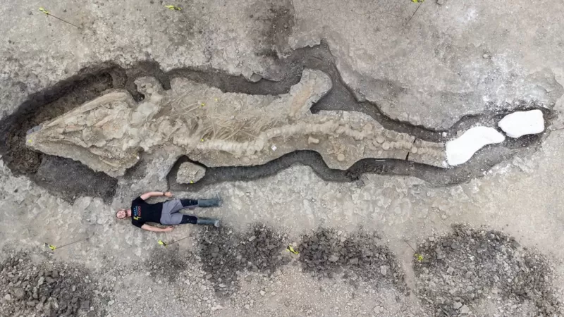 Fosil Naga Laut Ditemukan di Dasar Sebuah Waduk di Inggris