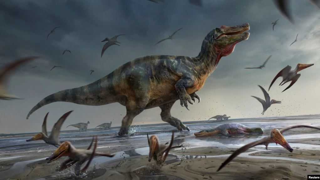 Fosil Sepupu T.Rex Dinosaurus Pemakan Daging Terbesar Ditemukan di Inggris