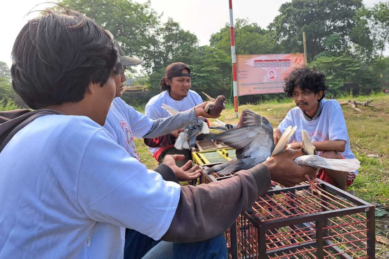 Gandeng Komunitas Pehobi Burung, Pemuda Mahasiswa Ganjar Bangun Fasilitas Merpati Kolong di Tangerang 1