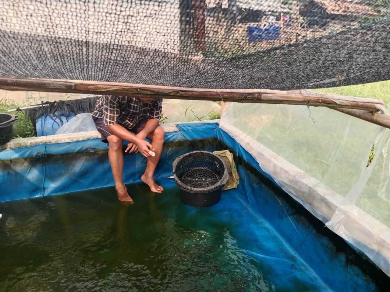 Ganjar Milenial Center Beri Pelatihan Anak Muda Banten Cara Budi Daya Ikan Lele 1