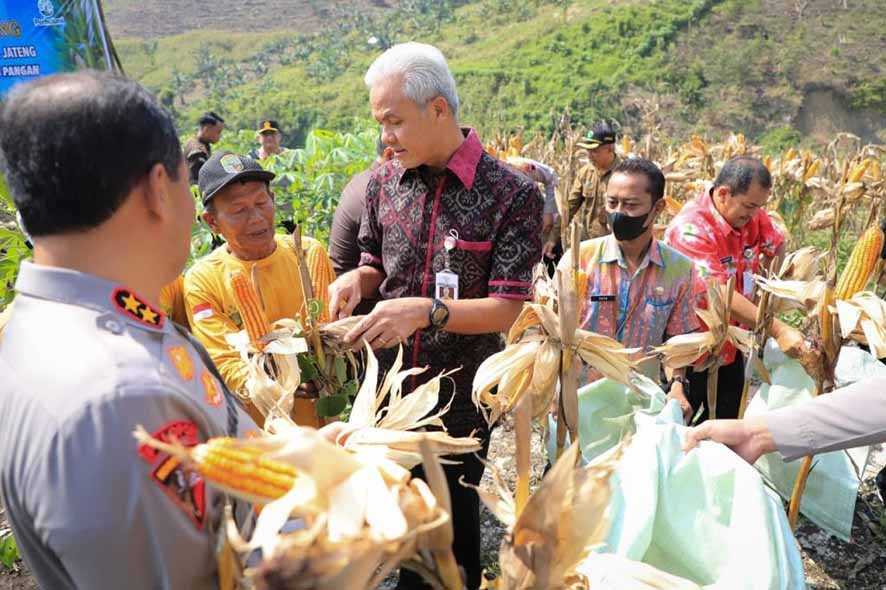 Ganjar Minta Pemanfaatan Hutan Harus Perhatikan Pohon Penahan Air