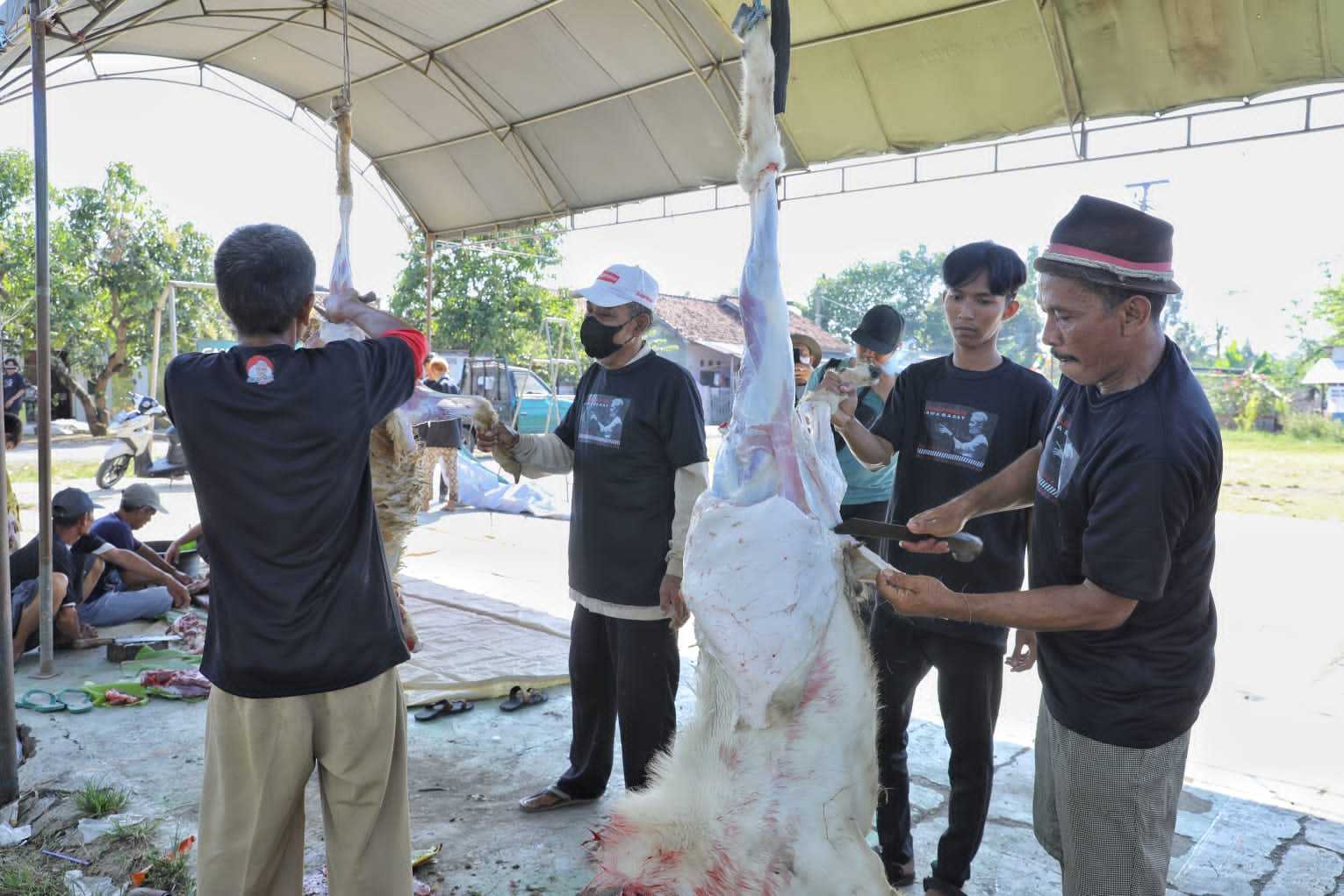 Ganjar Muda Padjajaran Potong Hewan Kurban Bersama Warga di Indramayu 2