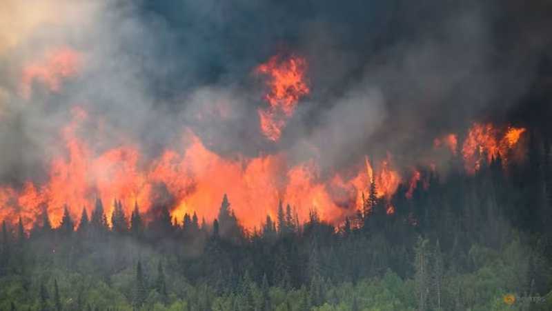 Gara-gara Kebakaran Hutan, Kanada Masuk 4 Besar Penghasil Emisi Karbon