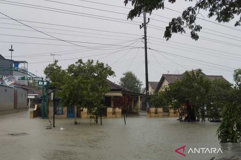 Gara-gara Tanggul Jebol, 25 Desa/Kelurahan di Demak Terendam Banjir