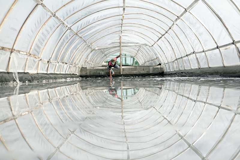 GARAM SISTEM 'TUNNEL' BISA PRODUKSI DI MUSIM HUJAN