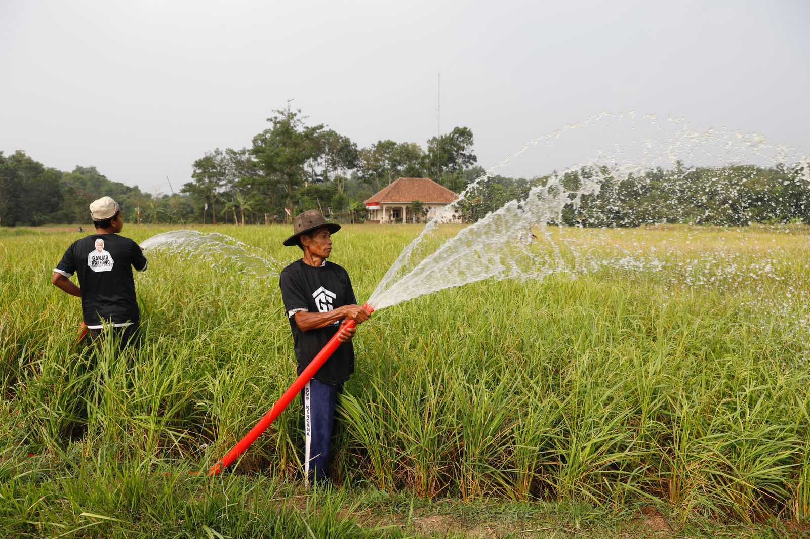 Gardu Ganjar Beri Bantuan Mesin Pompa Air kepada Petani di Kabupaten Lebak 3