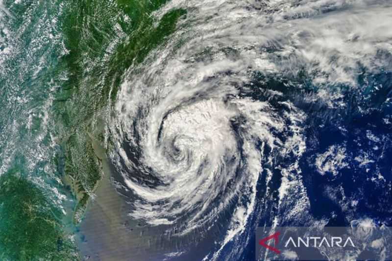 Gawat, Badai Beryl Tewaskan Tujuh Orang di Texas dan Louisiana