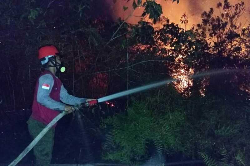 Gawat Banyak Sekali, BMKG Deteksi 100 Titik Panas di Kaltim