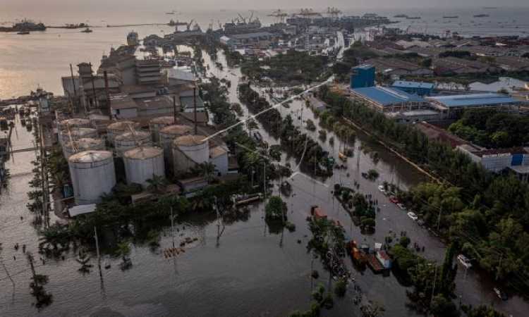 Gawat Kalau Terus Terjadi! Masyarakat Harus Waspada, 5 Ribu Keluarga Masih Terdampak Banjir Rob di Semarang, Ketinggian Air Diprediksi Meningkat Hingga Tanggal Segini