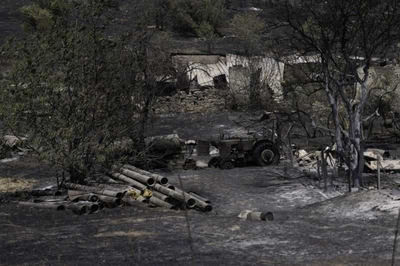 Gawat, Kebakaran Hutan di Evros Buat Yunani Evakuasi Lebih Banyak Pemukiman