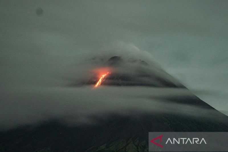 Gawat Semoga Tidak Ada Korban Jiwa, Guguran Lava Pijar Meluncur Lima Kali dari Gunung Merapi