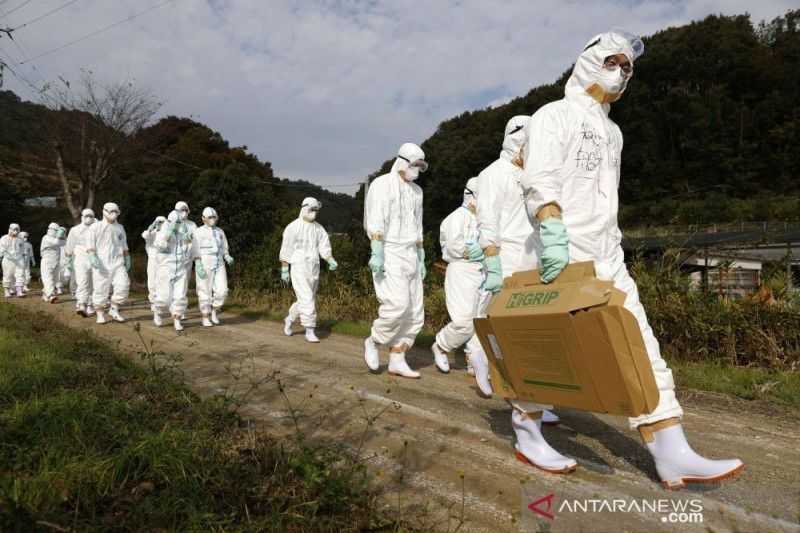 Gawat Semoga Tidak Menular Sampai Indonesia, Flu Burung Menyebar ke Eropa dan Asia