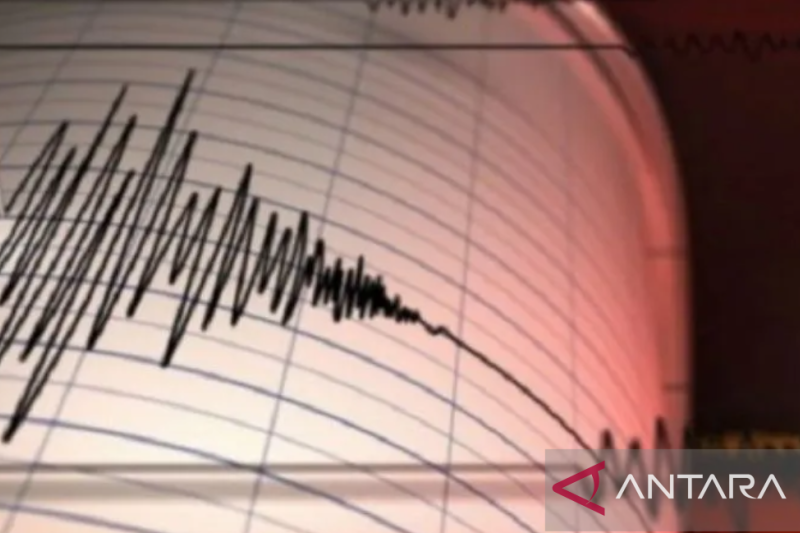 Gempa Magnitudo 5 Guncang Maluku Barat Daya, Beruntung Tidak Berpotensi Tsunami