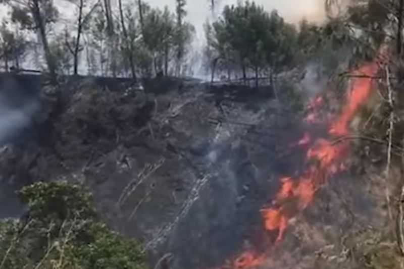Gerak Cepat Atasi Karhutla, Kebakaran Lahan di Kawasan Gunung Rinjani Mencapai 55 Hektare