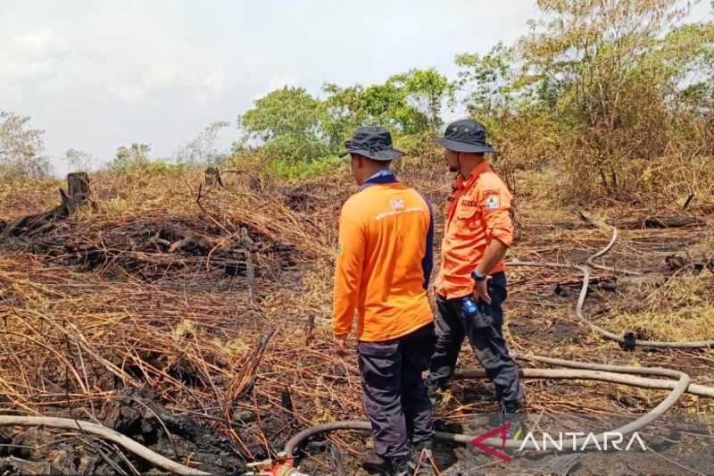 Gerak Cepat, BPBD Aceh Barat Padamkan Kebakaran Lahan di Areal Seluas 6 Hektare