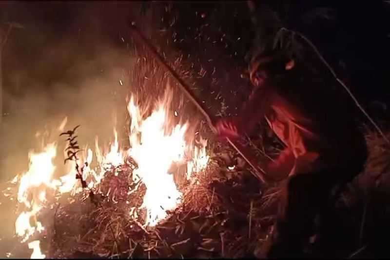 Gerak Cepat, Petugas Berhasil Padamkan Kebakaran Hutan Gunung Jaaz Trenggalek
